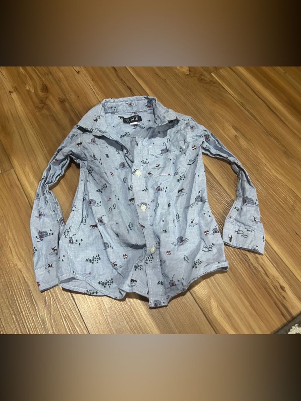 The Children's Place Light Blue Patterned Camping Long-Sleeve Button-Down Shirt